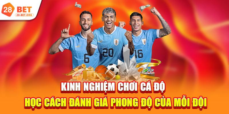 Hé Lộ Kinh Nghiệm Chơi Cá Độ Mà Nhà Cái Không Muốn Ai Biết