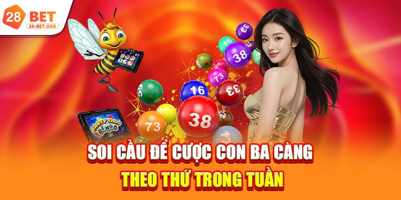 Soi cầu để cược con ba càng theo thứ trong tuần